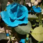 Juli: "Excality was die enigste beskikbare catering plek wat ons kon kry op die nippertjie! Baie goeie diens. Alles was so mooi en perfek!"