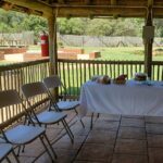 Kristen: "Excellent 'extra mile' service and pocket-friendly pricing. Thanks!"